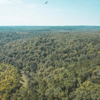 Paddy Creek Wilderness-Tract 6