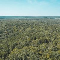 Paddy Creek Wilderness-Tract 6 images 2