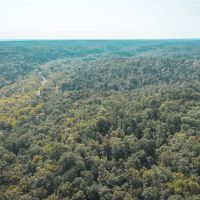 Paddy Creek Wilderness-Tract 6 images 3