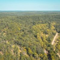Paddy Creek Wilderness-Tract 6 images 4