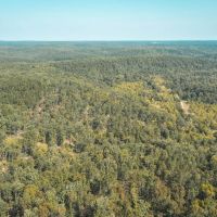 Paddy Creek Wilderness-Tract 6 images 5