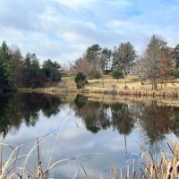 4 Bed 2.75 Bath Home on 77 Acres for Sale Adair County images 3
