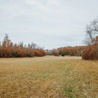Big Bend Ranch images 5
