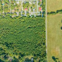 8.095 acres of Undeveloped and Residential Land for Sale in Chatham County NC images 4