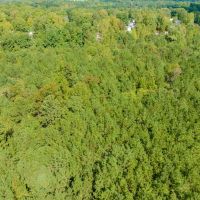 8.095 acres of Undeveloped and Residential Land for Sale in Chatham County NC images 5