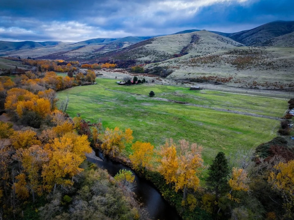 Circle H Homestead featured image