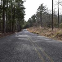 Lake Ouachita National Forest Bradey Mountain 20 images 3