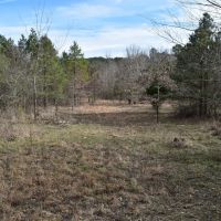 Lake Ouachita National Forest Bradey Mountain 20 images 4