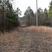 Lake Ouachita National Forest Bradey Mountain 20 images 5