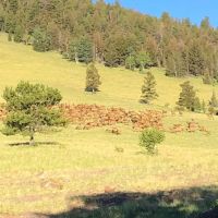 Saddle Mountain Ranch Guffey Colorado