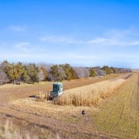 The Ultimate Pheasant Hunt images 5
