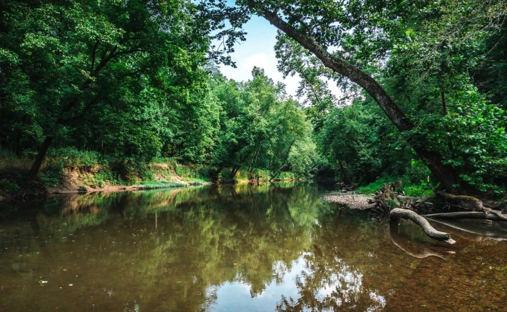 Spring Cave at the Piney featured image