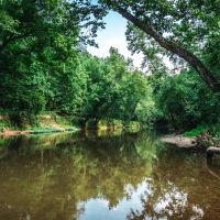 Spring Cave at the Piney