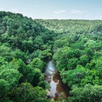 Spring Cave at the Piney images 5