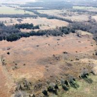 80 Acre Kansas Hunting Tract For Sale Bourbon County images 5