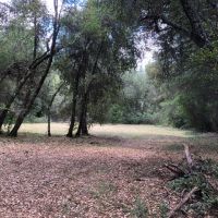 Copy of img 1382