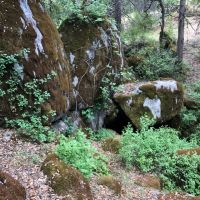 70 acre forest camp and hunting land in El Dorado County