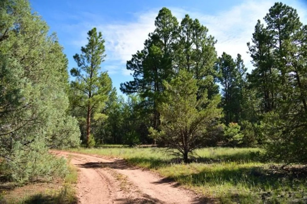 Purple Rock Ranch featured image