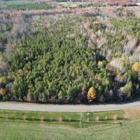 25.5 acres of Residential Recreational and Investment Land For Sale in Caroline County VA images 2