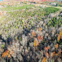 25.5 acres of Residential Recreational and Investment Land For Sale in Caroline County VA images 4