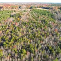 25.5 acres of Residential Recreational and Investment Land For Sale in Caroline County VA images 5