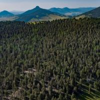 Saddle Mountain Ranch Guffey Colorado images 5