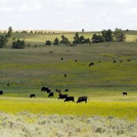 The OW Ranch images 5