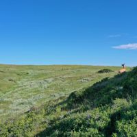 Wildcat Creek Ranch images 2