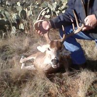 3500 acre Yearly Hunting lease in Tom Green Co.