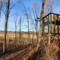 SR 60 - 5 acres - Coshocton County