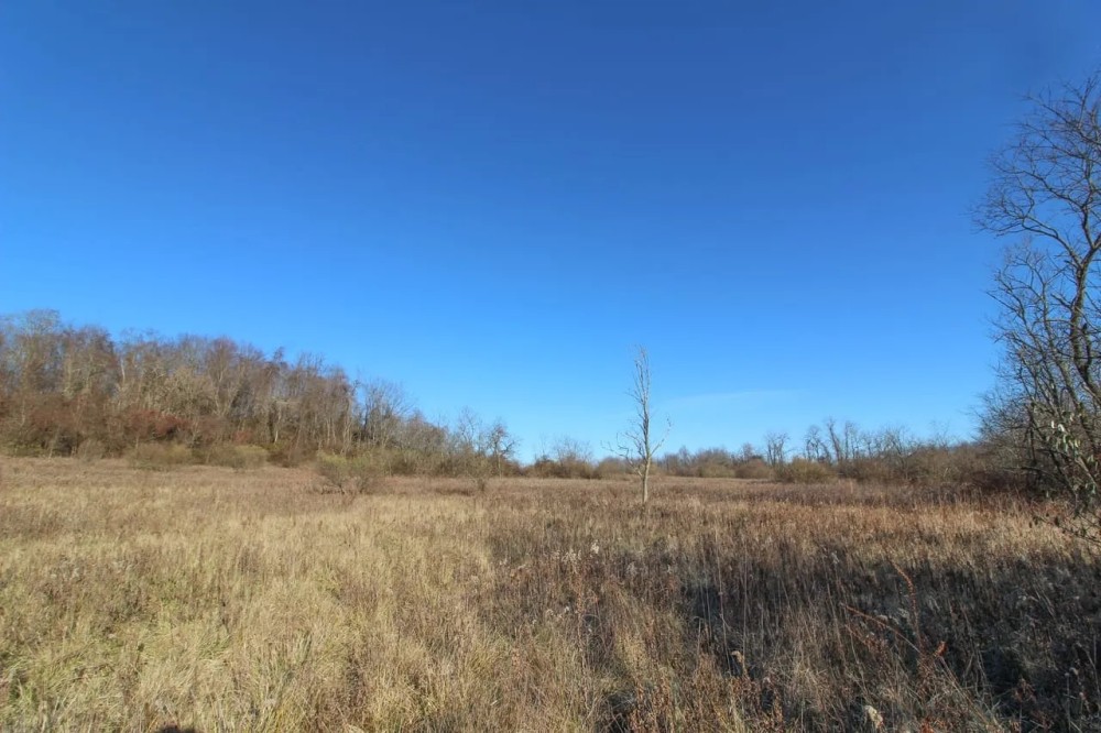 Mercer Rd - 56 acres - Belmont County featured image