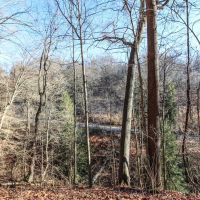 Mercer Rd - 56 acres - Belmont County images 4