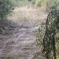 5 Turkey season spots on farm