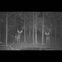 Img 4381