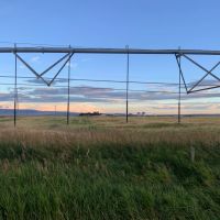 Bressler Farm