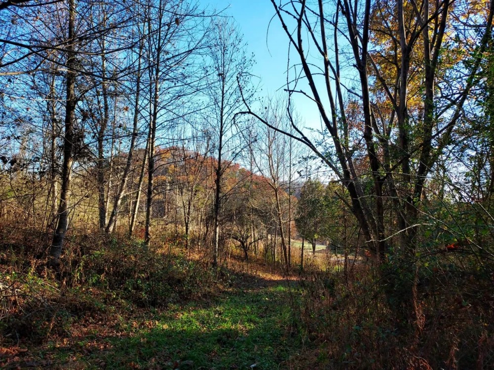 17-ACRE Home Site Creek Land featured image