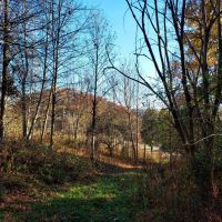 17-ACRE Home Site Creek Land