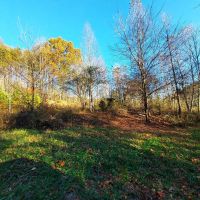 17-ACRE Home Site Creek Land images 3