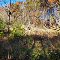 17-ACRE Home Site Creek Land images 5