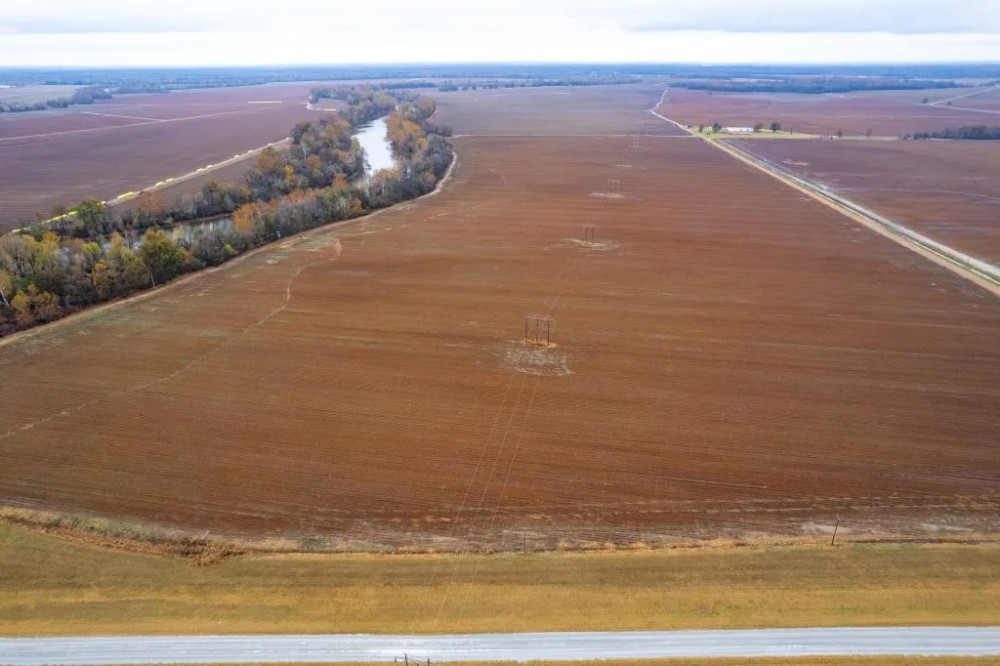 The Wyles Cotton Farm featured image
