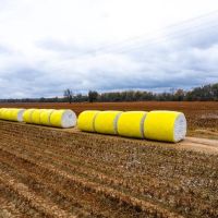 The Wyles Cotton Farm images 2