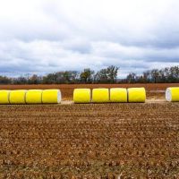 The Wyles Cotton Farm images 3