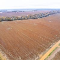The Wyles Cotton Farm images 4