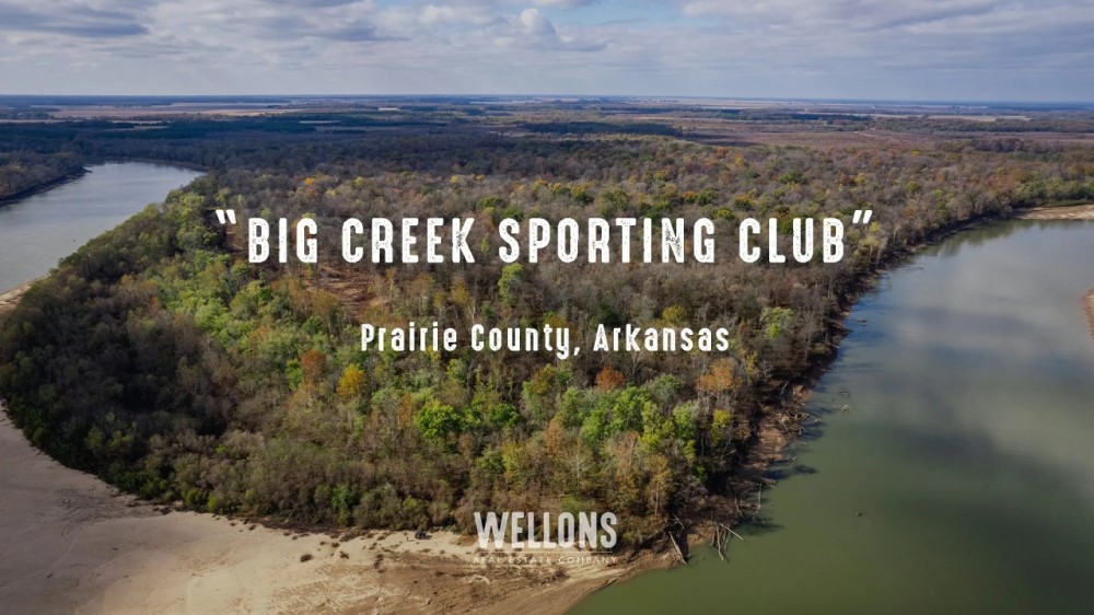 Big Creek Sporting Club featured image