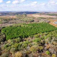 Big Creek Sporting Club images 4