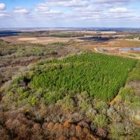 Big Creek Sporting Club images 5