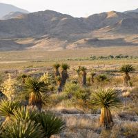 Quitman Canyon Ranch images 4
