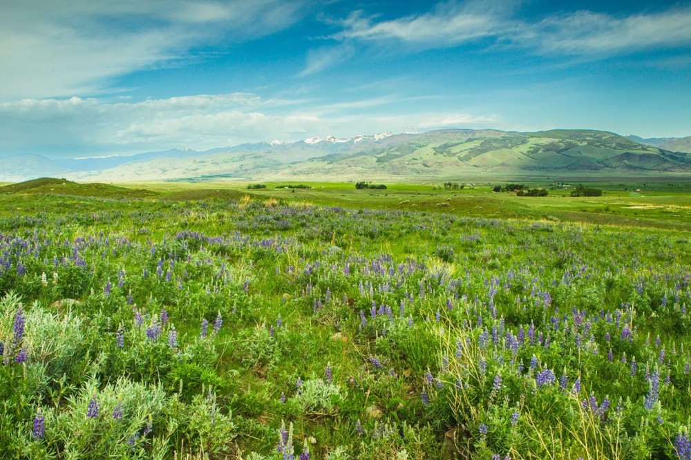 Sitka Ranch featured image