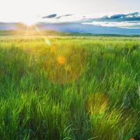 Sitka Ranch images 3