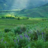 Sitka Ranch images 4